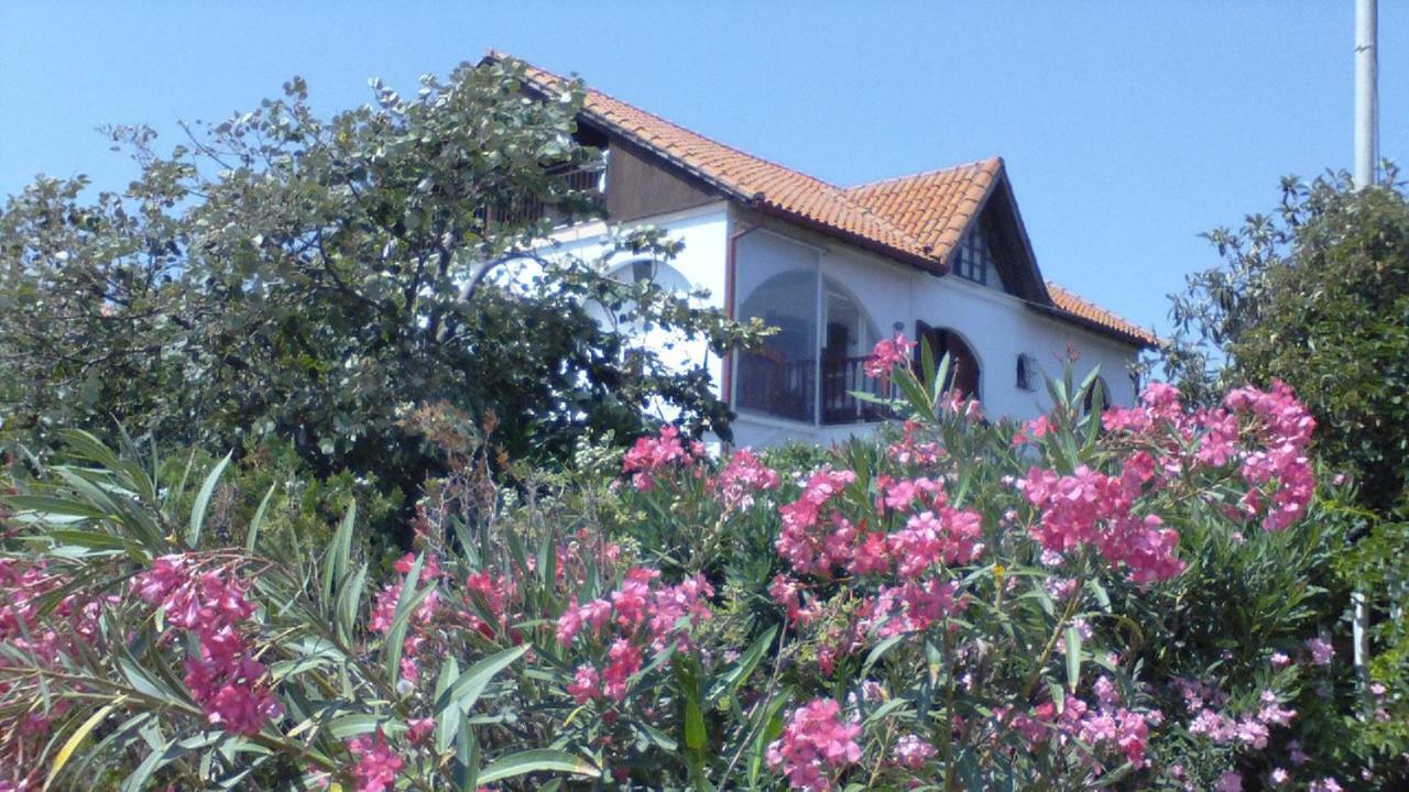 Villa Iris Неа-Врасна Экстерьер фото